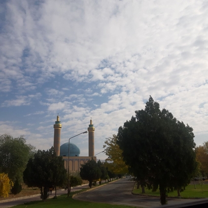 گالری تصاویر